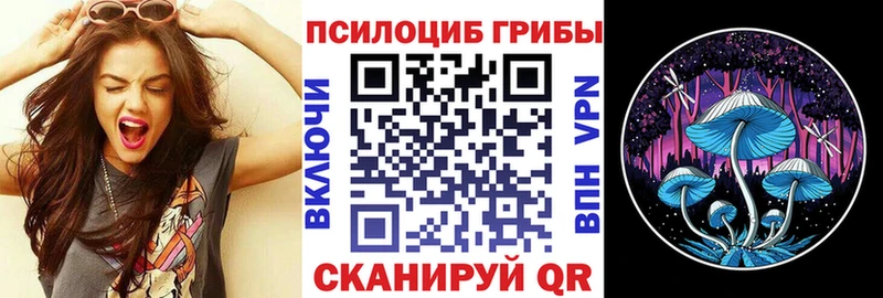 как найти   Трёхгорный  OMG   Псилоцибиновые грибы GOLDEN TEACHER 